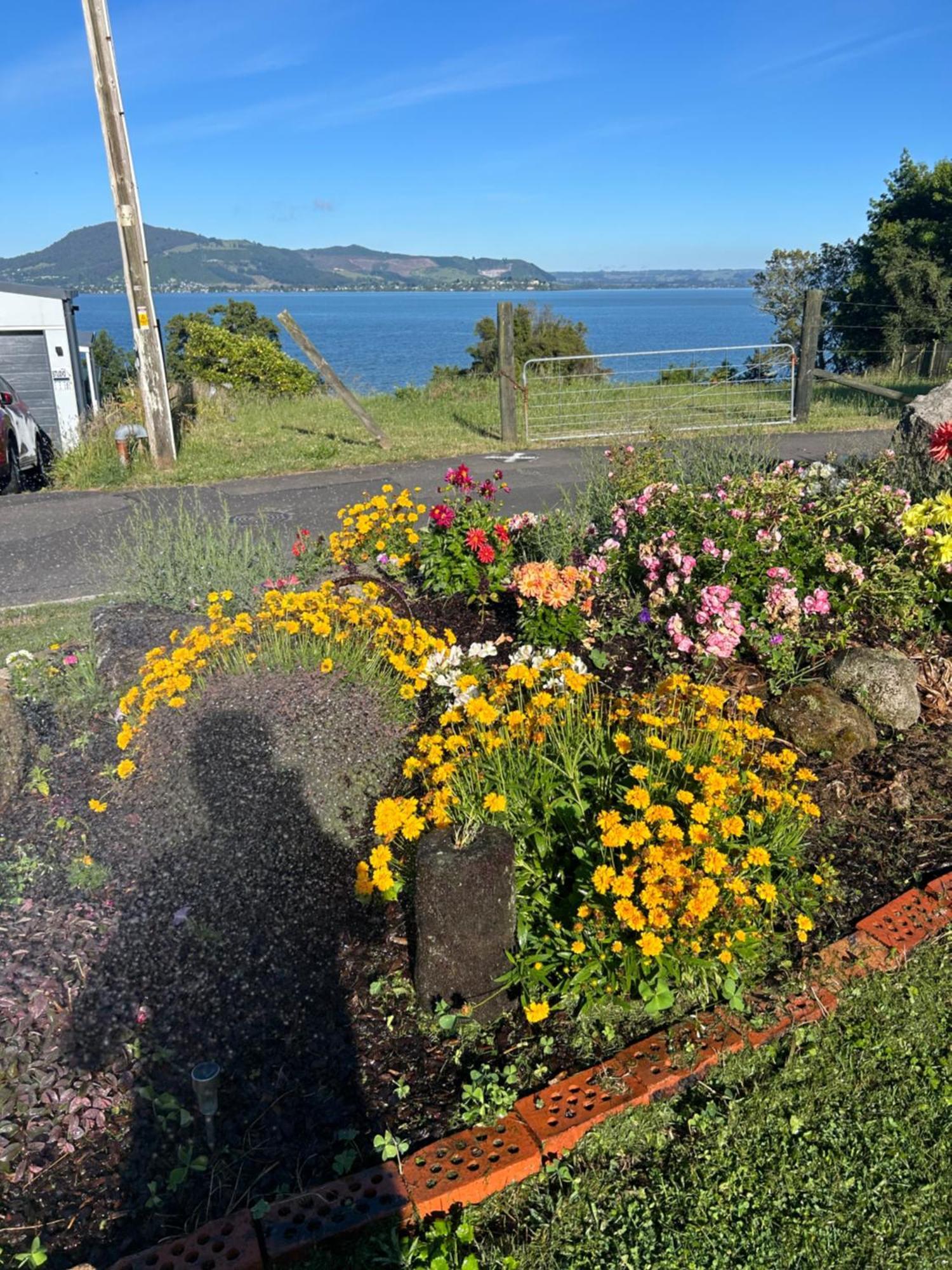 Rotorua Lakes Cottage 外观 照片
